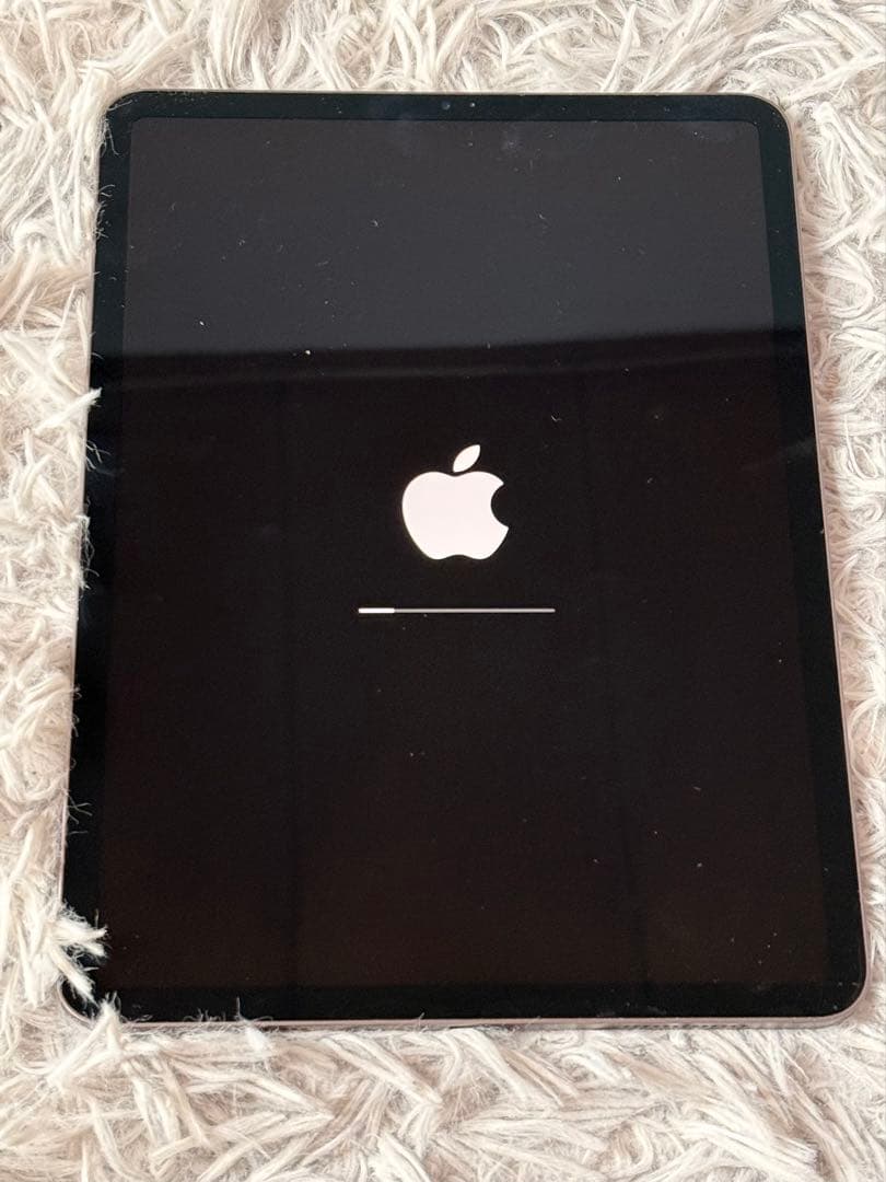 ipad pro 第1世代 256GB 11インチ バッテリー100% ＋おまけ