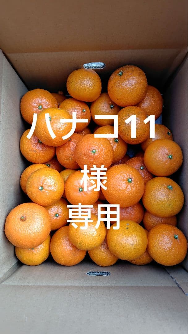 津之輝20㎏(家庭用)ハナコ11#2