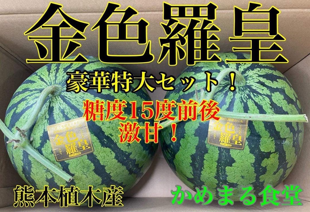 衝撃のサイズと甘さ、金色羅皇6L2玉セット24k前後箱込　かめまる食堂