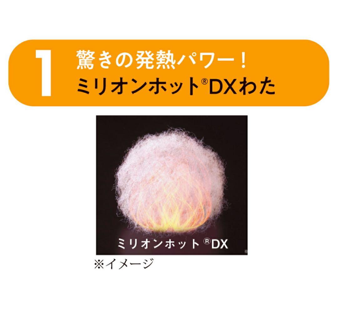 ディノス限定　ヒートループプレミアムプラス 中わた入り発熱毛布 セミダブル