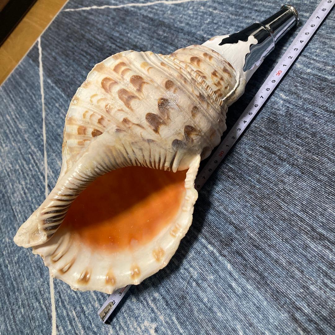 法螺貝　ホラ貝　ほら貝　修験道　山伏