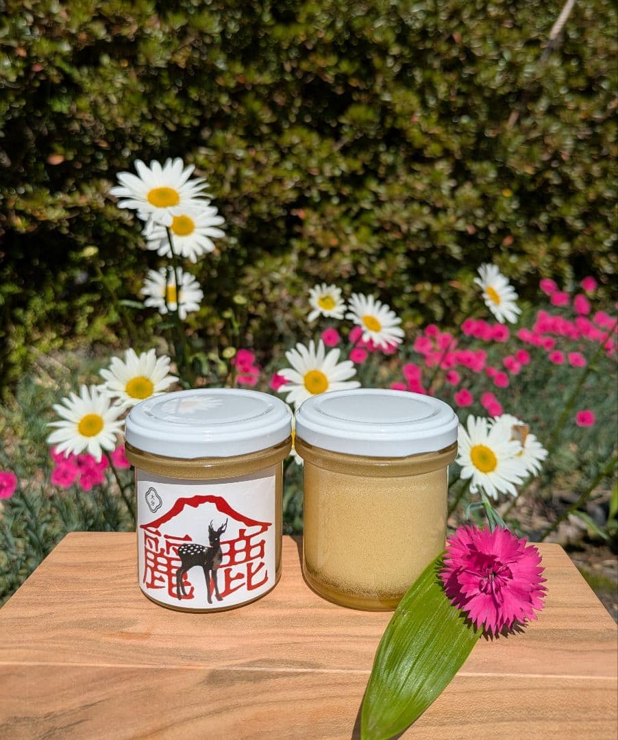 KOAKOA鹿アバラ骨ジャーキー3キロ