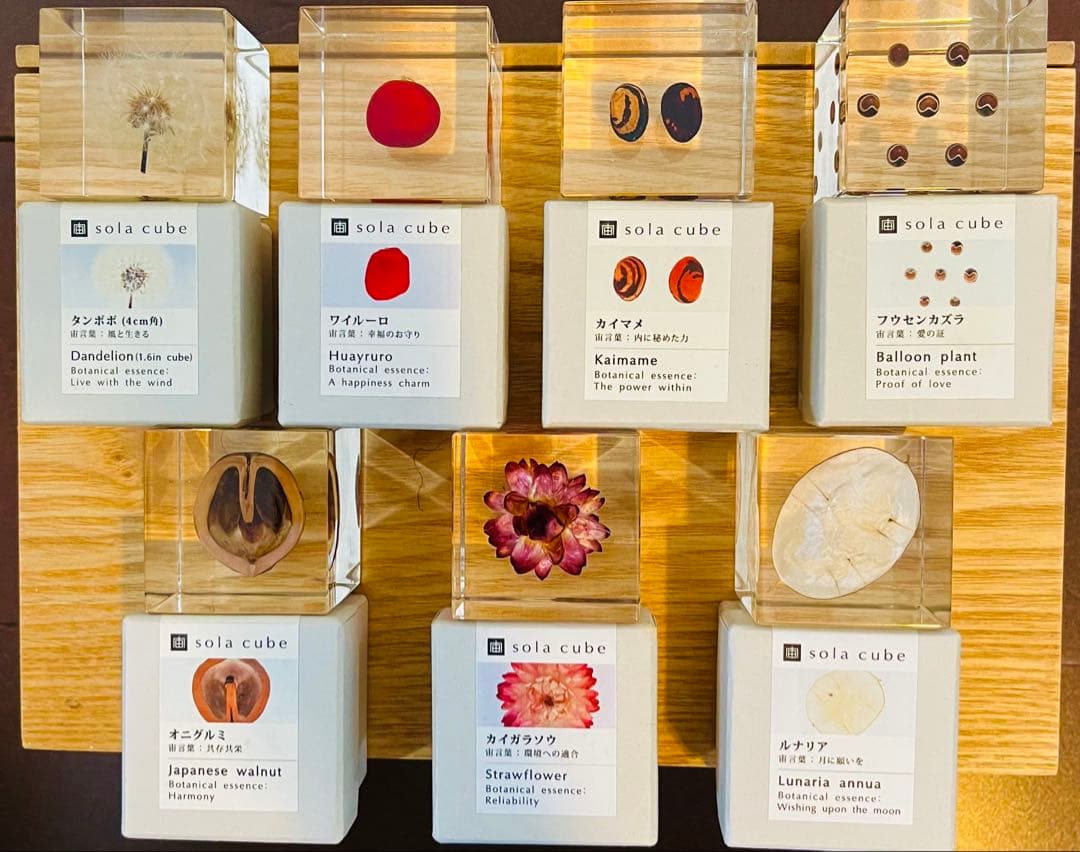 その他 solacube