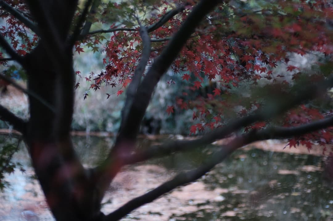 富士フイルムXマウント MF 単焦点レンズ３本セット