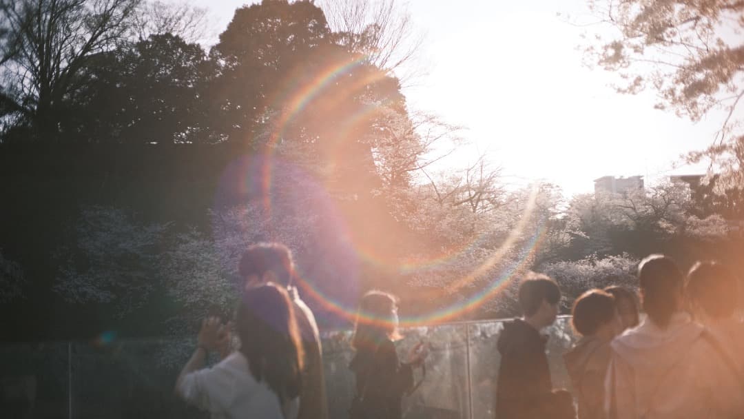 富士フイルムXマウント MF 単焦点レンズ３本セット