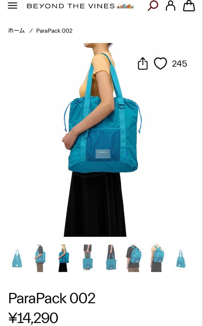 BEYOND THE VINES parapack 002 リュック