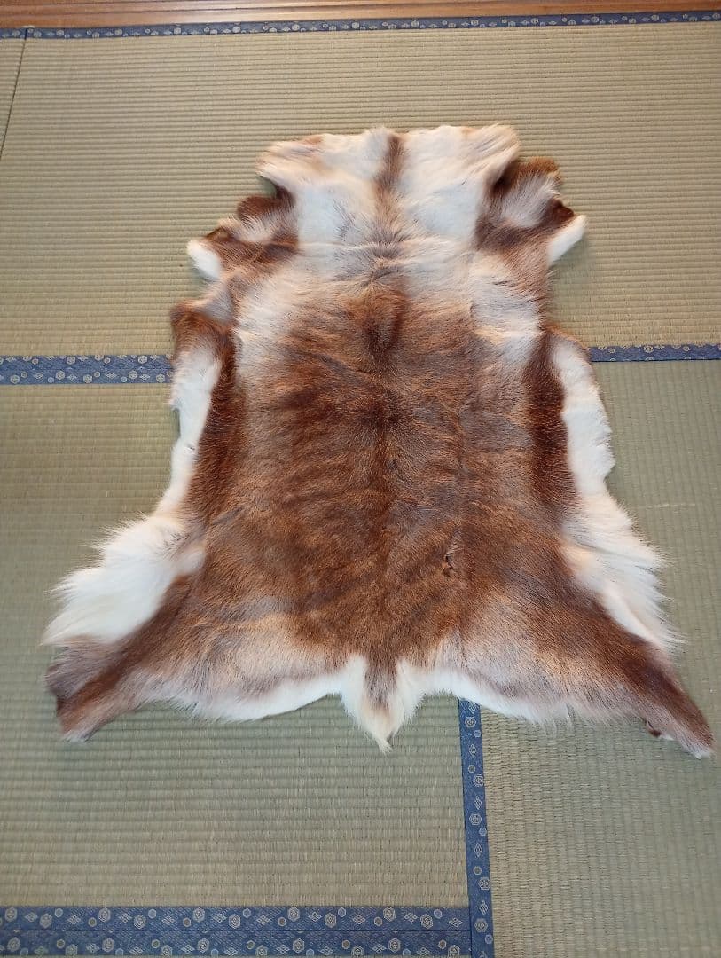 トナカイ毛皮　ラグ