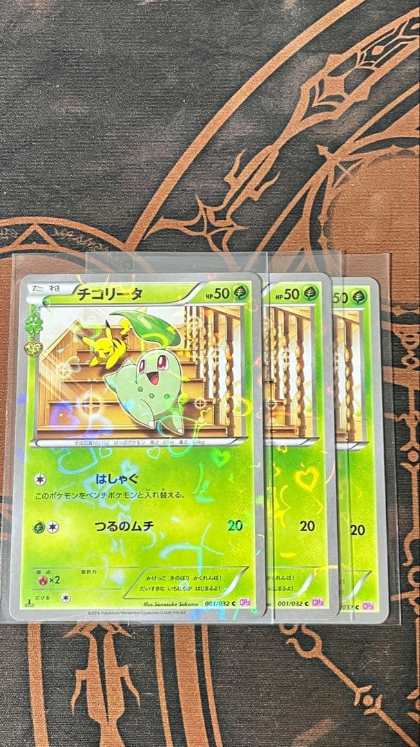 チコリータ cp3 3枚