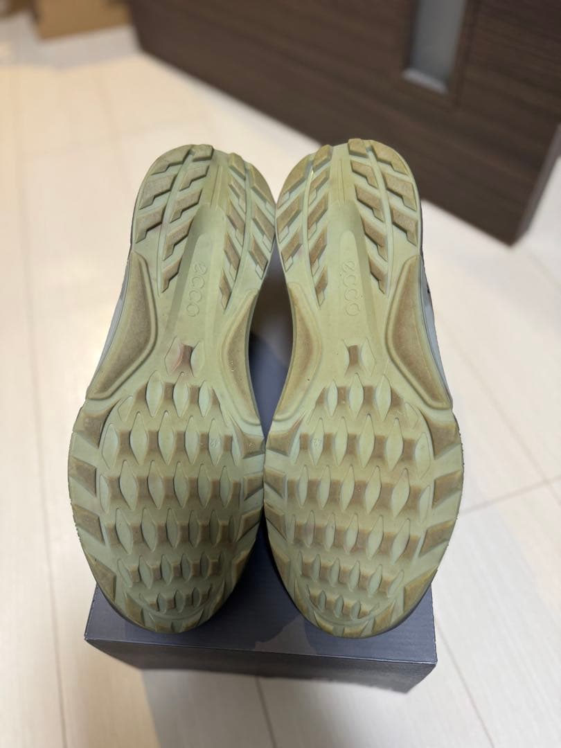 ECCO ゴルフシューズ BIOM C4 BOA ボア ブラック