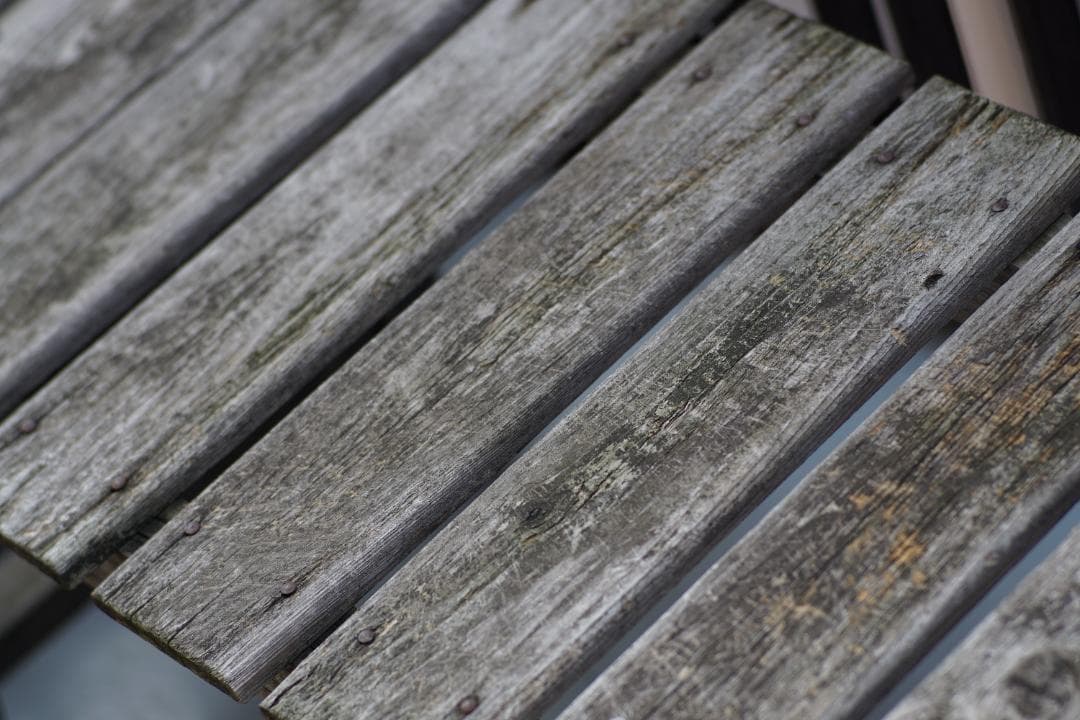 Carl Zeiss Planar 85mm F1.4 単焦点　Y/Cマウント