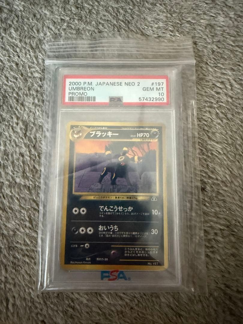 ブラッキー旧裏　プレミアムファイル2 psa10