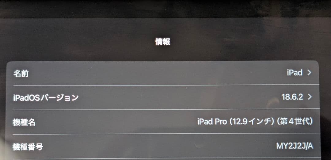 [目立った傷や汚れなし] iPad Pro 128GB 12.9インチ