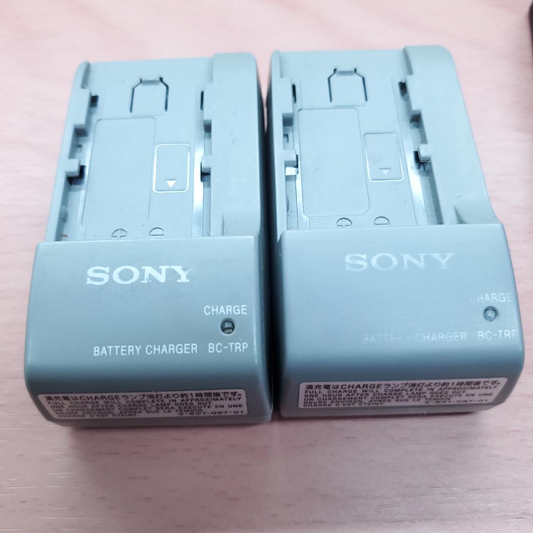 ぶ*ー様 SONY HDR-CX500V ソニー ハンディカム ビデオカメラ