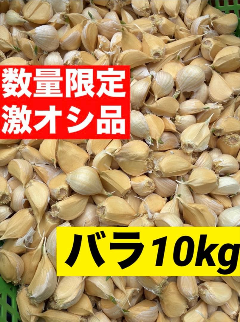 【激安】青森県産にんにく MIXバラ10kg福地ホワイト 訳あり品　お買い得