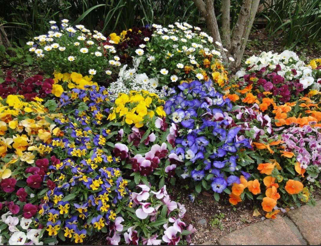 実写美⭕️美品【動作確認済】SONY Cyber−Shot WX DSC-WX5