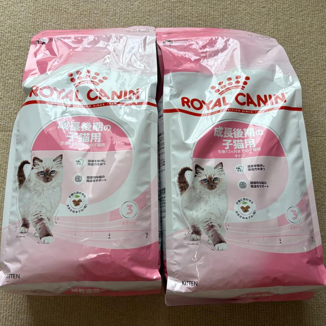 【未開封品】 CANIN ドライフード 2kg×2袋