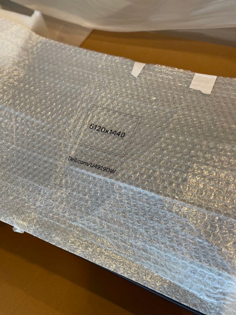 ※ひろ※ウルトラワイドモニター (U4919DW)