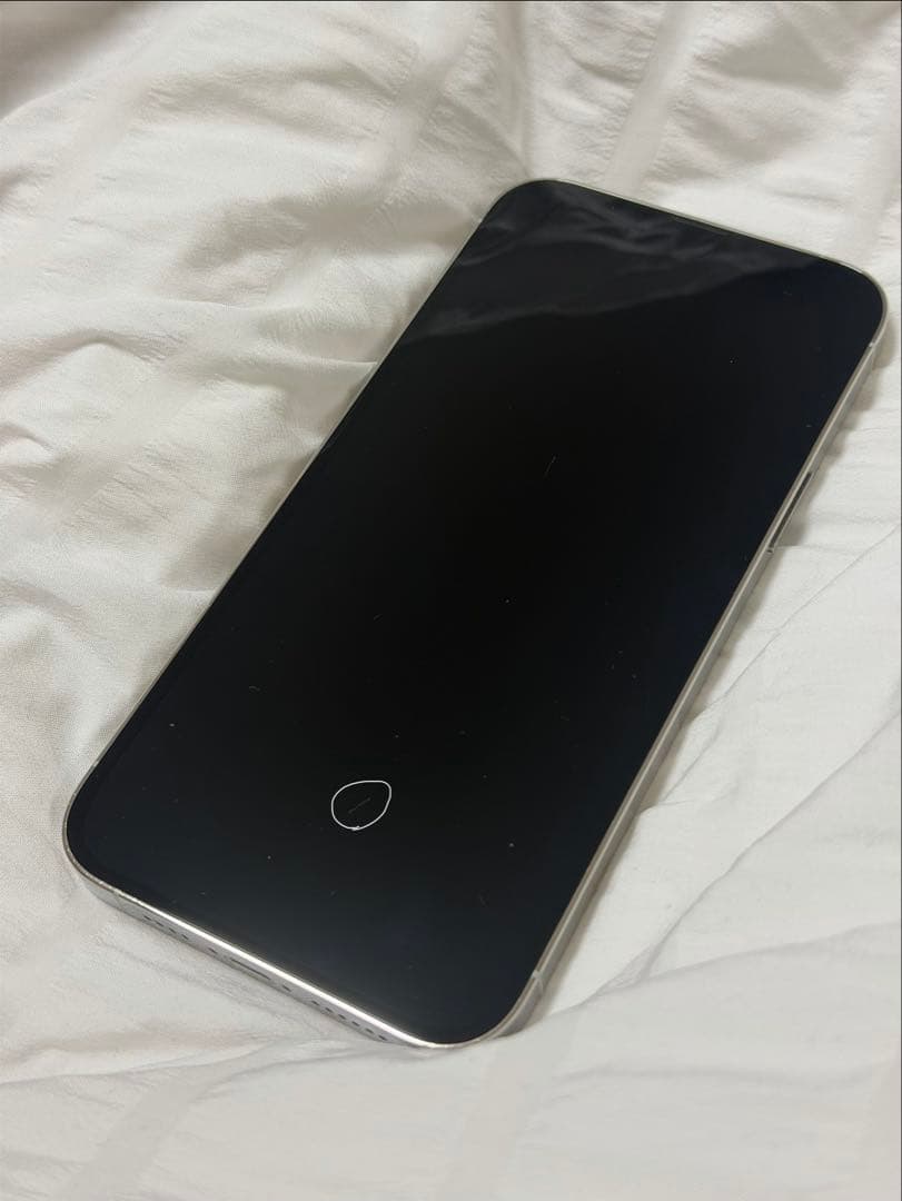 【1TB】 iPhone 13 Pro Max シルバー 1024GB