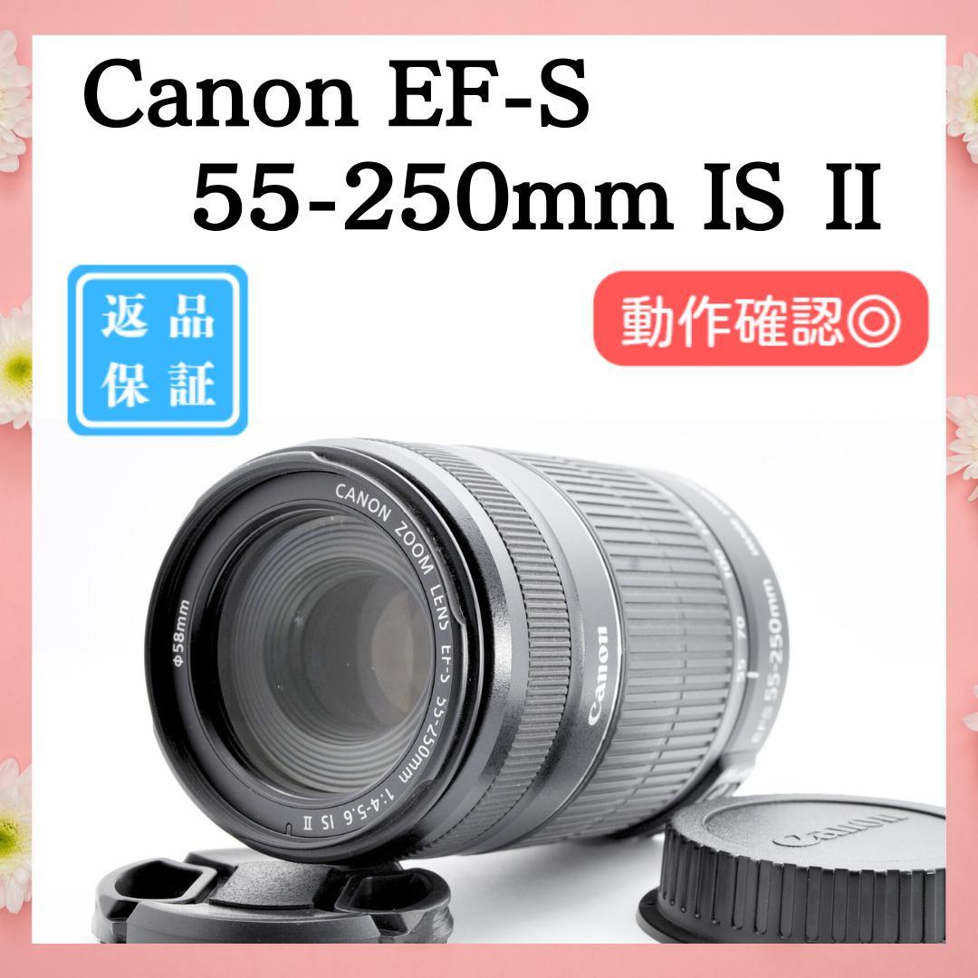 ✨大特価✨Canon EF-S 55-250mm IS II 望遠レンズ