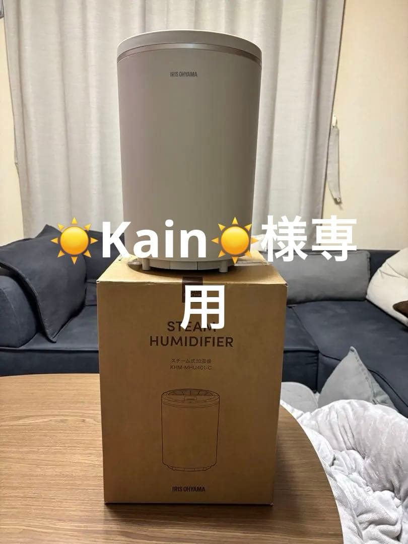美品‼️IRIS OHYAMA スチーム式加湿器2025年製