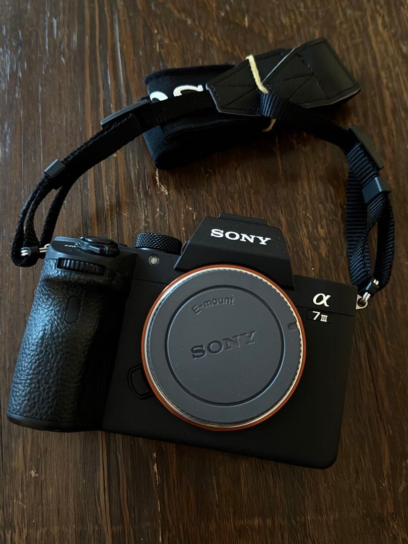 水没ジャンク品‼️SONY α7Ⅲ レンズFE24-105mm