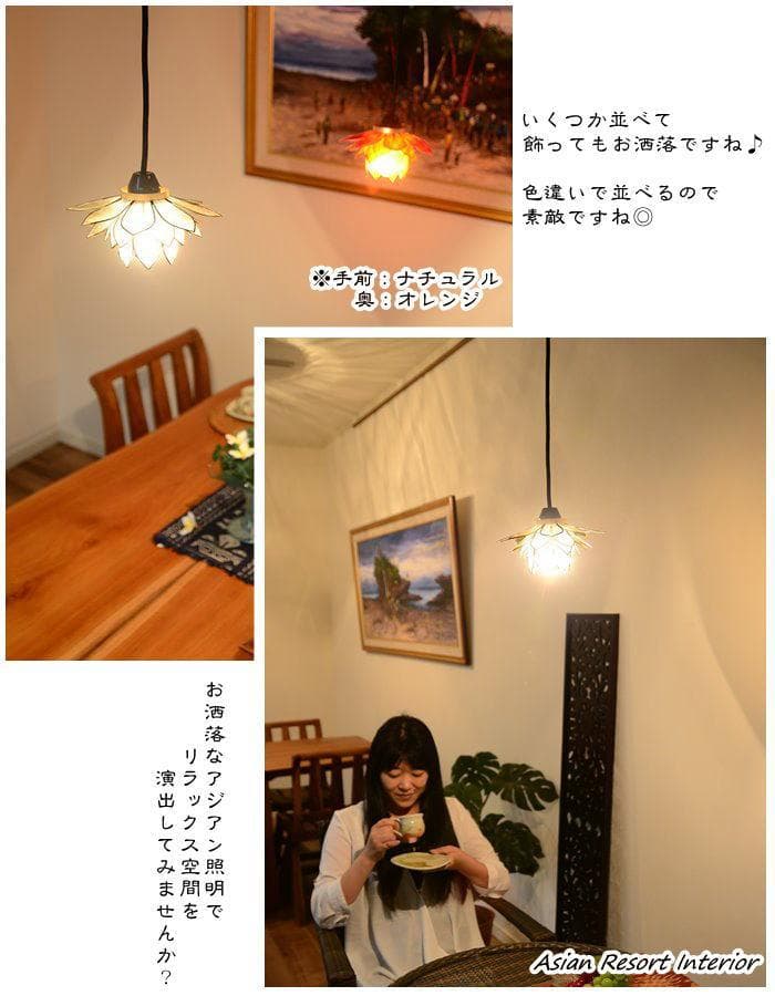 ioi24 訳あり カピス ロータス ホワイト オレンジの２個 F-77