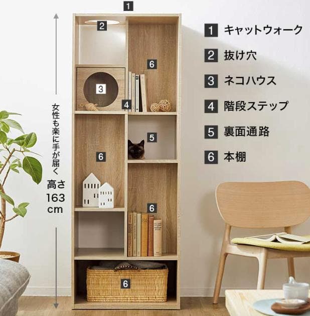 組立済み【幅60cm】猫が遊べるキャットウォークつきブックシェルフ