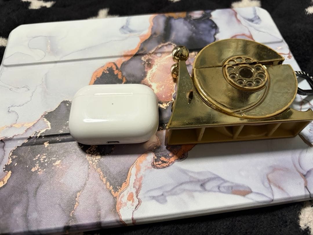 AirPods pro 本体 casetify ケース付き