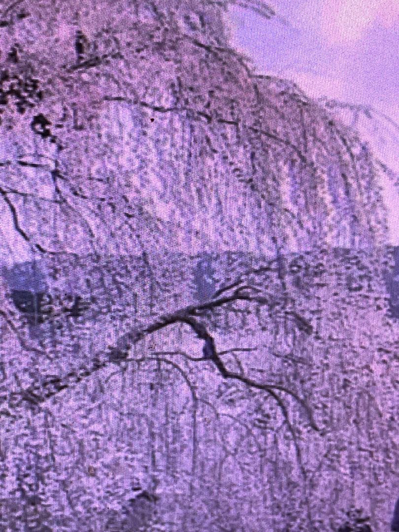 にゃんこ9kg小袋36入りお2個姫さまマーク手延そうめん