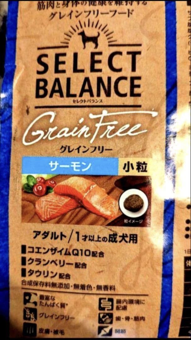 セレクトバランス グレインフリー アダルト サーモン 成犬用 10kg