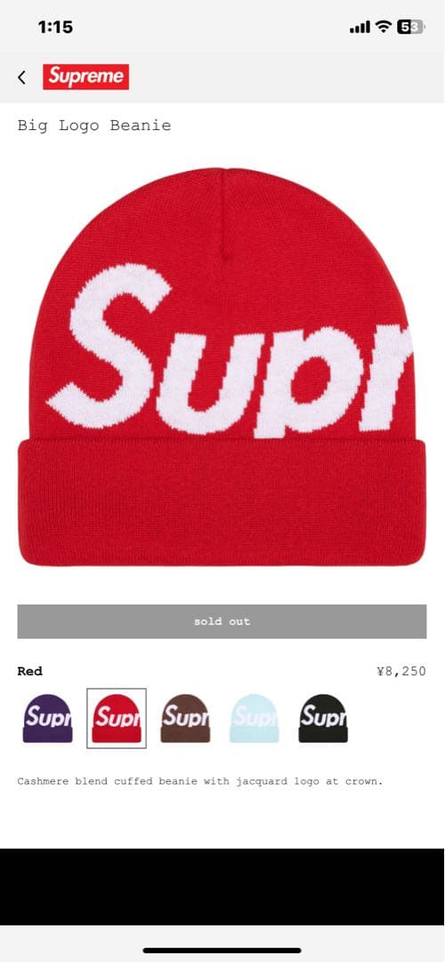 【正月限定割引】Supreme ビーニー